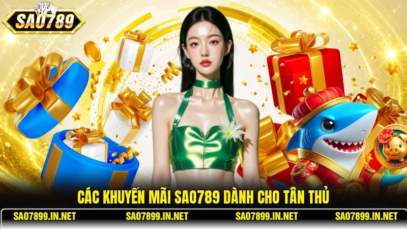 Các khuyến mãi Sao789 dành cho tân thủ