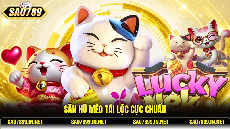 Săn hũ Mèo Tài Lộc cực chuẩn